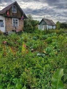 Продается 1-этажный дом, 14 м²