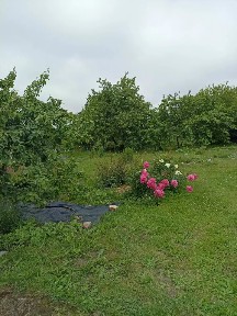 Продается участок, 10 сот.