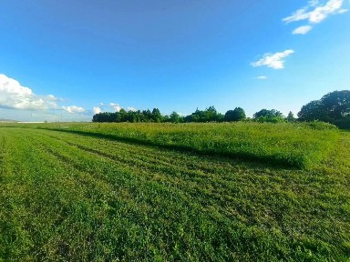Продается коммерческая земля, 130 сот.