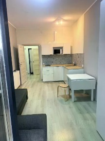 Сдается студия, 23,8 м²
