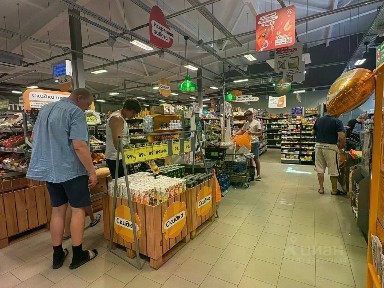 Сдается помещение свободного назначения, 50 м²