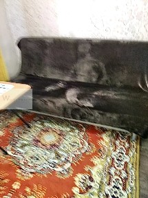 Сдается студия, 13 м²