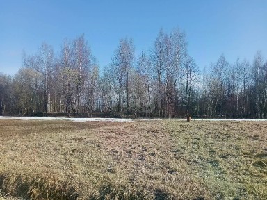 Продается участок, 10 сот.