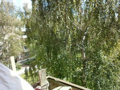 Продается 1-комн. квартира, 29,4 м²