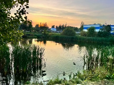 Сдается студия, 24,5 м²