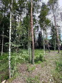 Продается участок, 25,9 сот.
