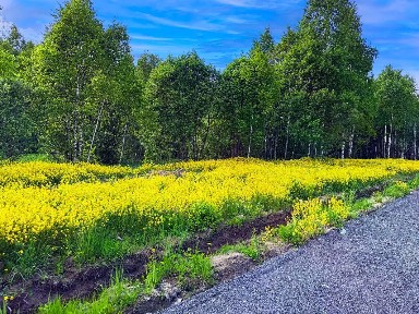 Продается участок, 6 сот.