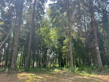 Продается участок, 6,1 сот.