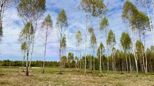 Продается участок, 8 сот.