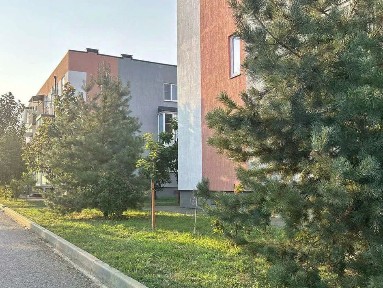 Продается 5/6 квартиры, 31,17/14,2/12 м²