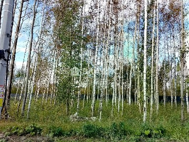 Продается участок, 8,21 сот.
