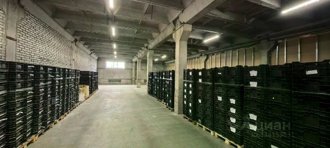 Сдается помещение свободного назначения, 290 м²