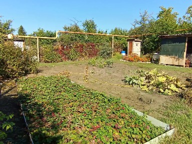 Продается участок, 4,42 сот.