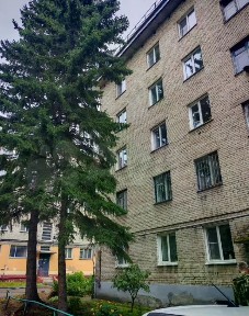Сдается 3-комн. квартира, 51,6 м²