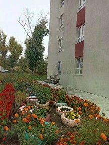 Сдается студия, 20 м²