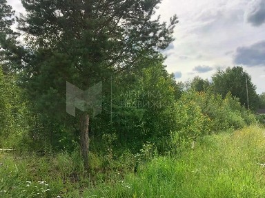 Продается участок, 12,59 сот.