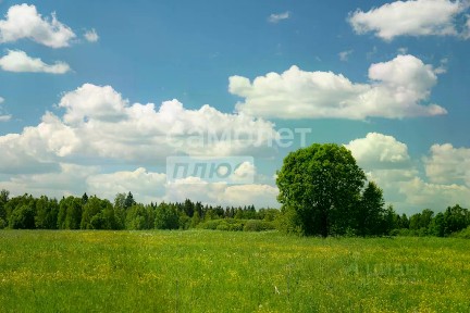Продается участок, 10,81 сот.