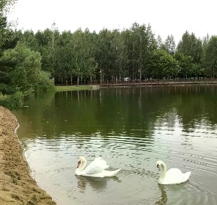 Продается 2-этажный дом, 354 м²
