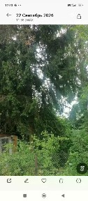 Продается участок, 10 сот.