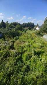 Московская область, Подольск городской округ, Лаговское деревня, ул. Николаевская