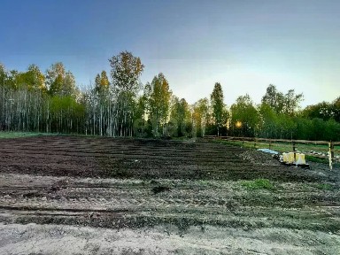 Томская область, Томский район, Поселок Зональная станция, ул. Раздольная
