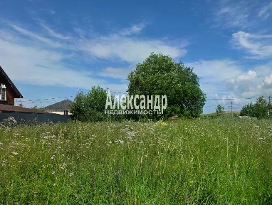 Ленинградская область, Ломоносовский район, Виллозское городское поселение, Орбита-3 СНТ, ул. Зеленая, 274