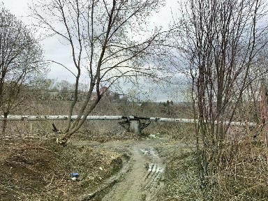 Продается участок, 6 сот.