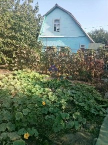 Ростовская область, Волгодонск, Волгодонской Садовод СНТ