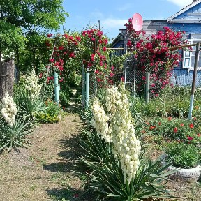 Продается 1-этажный дом, 53 м²