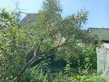 Продается 2-этажный дом, 60 м²