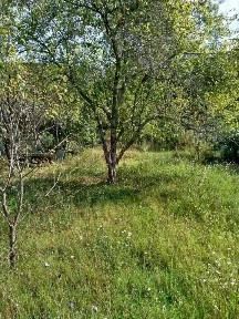 Краснодарский край, Туапсинский муниципальный округ, Дедеркой село
