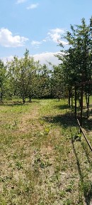 Продается участок, 5 сот.