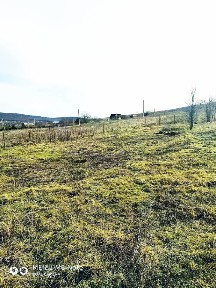 Краснодарский край, Анапа муниципальный округ, Колос СОНТ, проезд 10-й