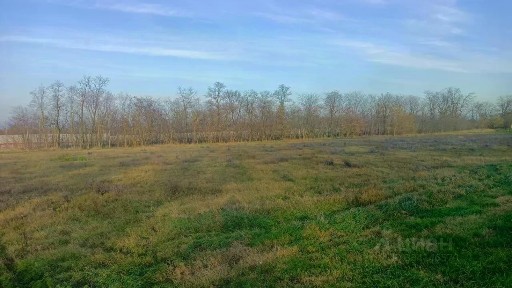 Краснодарский край, Анапа муниципальный округ, Джигинка село, ул. Асфальтная