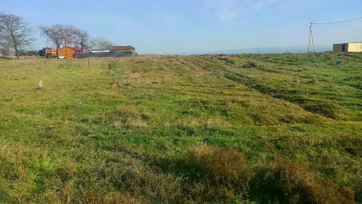 Краснодарский край, Анапа муниципальный округ, Благовещенская станица, пер. Песчаный
