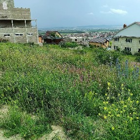 Краснодарский край, Анапа муниципальный округ, Супсех село, ул. Российская