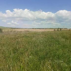 Краснодарский край, Темрюк, ул. Троицкая