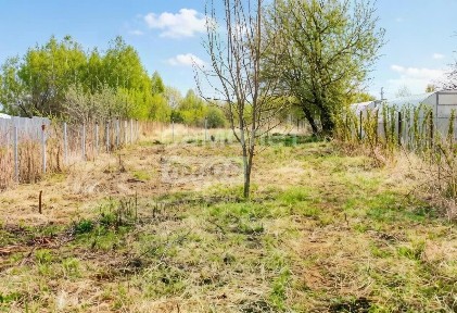 Нижегородская область, Бор муниципальный округ, Ваганьково деревня, 64/2