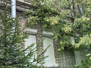 Санкт-Петербург, р-н Приморский, Чёрная речка, Сестрорецкая ул., 8