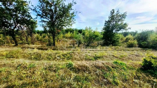 Продается участок, 205 сот.