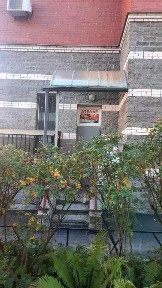 Сдается помещение свободного назначения, 20 м²