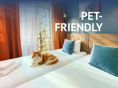 Сдается апартаменты-студия, 22 м²