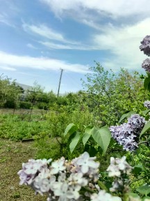 Продается 1-этажный дом, 25 м²