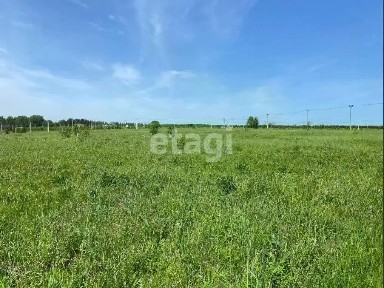 Татарстан респ., Высокогорский район, Чернышевское с/пос, Каймары село, ул. Блестящая, 4