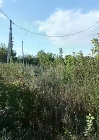 Татарстан респ., Высокогорский район, Дачное поселок, ул. Марины Цветаевой