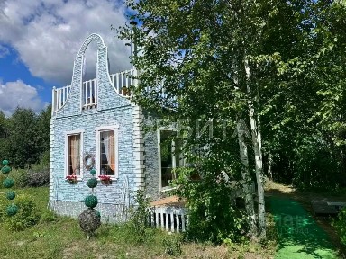Тюменская область, Тюменский муниципальный округ, Черемушки-2 СНТ, ул. Центральная