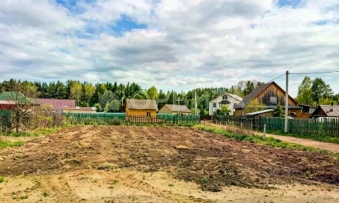 Тюменская область, Тюменский муниципальный округ, Гусево село, ул. Новая