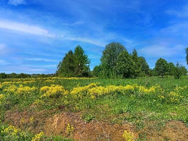 Продается участок, 8 сот.