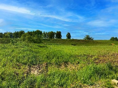 Московская область, Раменский муниципальный округ, Зеленая Слобода село, ул. Парковая, 400