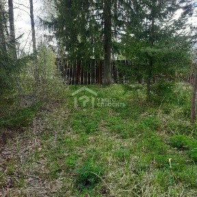 Ленинградская область, Всеволожский район, Морозовское городское поселение, Дунай-Источник СНТ, 55